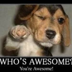 Meet your Posher, Dylan